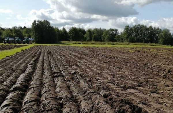5 сельхозпредприятий в Ленинградской области состязались в мастерстве механизаторов-пахарей