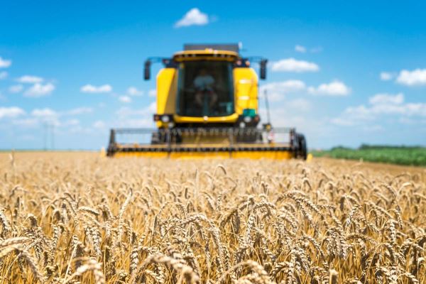 Российские аграрии уже собрали более 123 млн т зерна — Патрушев