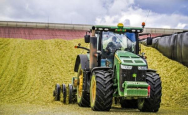 В Липецкой области уже заготовлено почти 400 тысяч тонн кормов для сельхозживотных