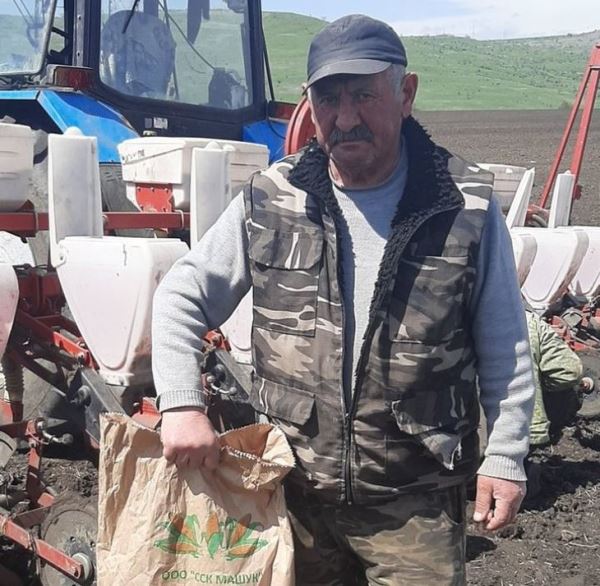 Результаты демпосева российских сортов кукурузы по предшественникам льну и пшенице