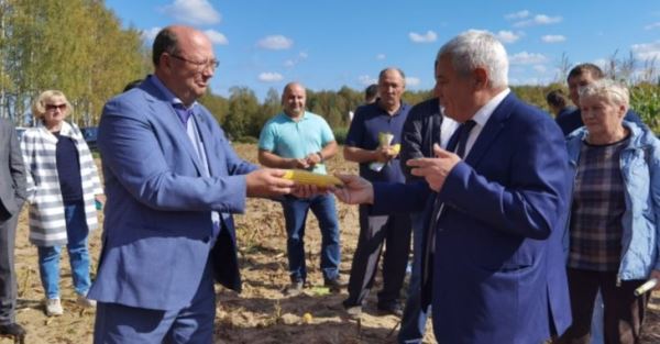 Отечественные гибриды кукурузы презентовали эксперты Россельхозцентра на демпосевах в Нижегородской области