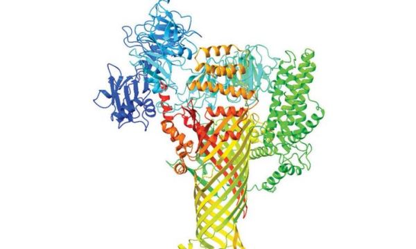 Наночастицы для блокировки вредного белкового коктейля патогенов станут новой защитой растений