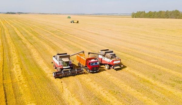 Ивановские производители зерновых приближаются к намеченному рекорду