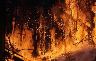 МЧС предложило вводить федеральный уровень реагирования на природные пожары через 72 часа - новости экологии на ECOportal