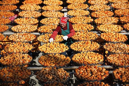 Си Цзиньпин направил поздравления в преддверии Праздника урожая китайских крестьян