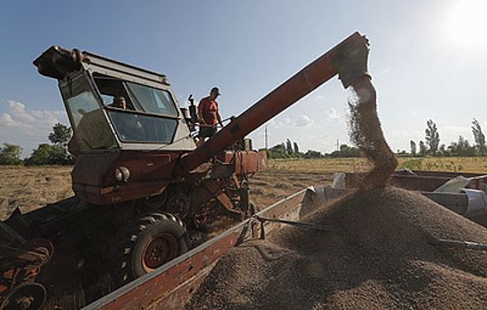Словакия продлит запрет на ввоз зерна с Украины