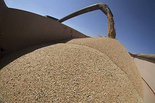 Словакия выразила готовность защищать эмбарго на украинское зерно в ВТО