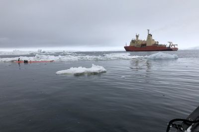 Ученые испугались резкого потепления в Антарктиде - новости экологии на ECOportal