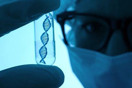 Ученые снесли «стены» между разными участками ДНК