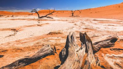 Ученые выяснили, через сколько лет экстремальная жара убьет человечество - новости экологии на ECOportal