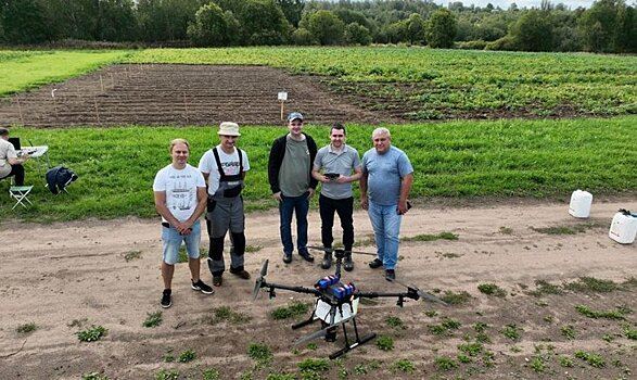 Успешная десикация ботвы картофеля с помощью дрона прошла в Новгородской области