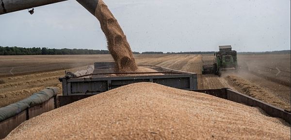 Власти Словакии заявили о намерении защищать в ВТО эмбарго на украинское зерно