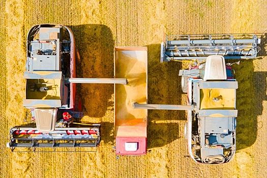 В Ивановской области ожидают рекордного урожая зерновых