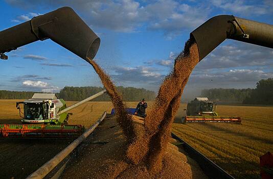 В Польше заявили о выгоде Украины от запрета на ввоз зерна
