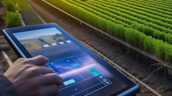 Стартапы в сфере цифровизации сельского хозяйства смогут привлекать больше инвестиций