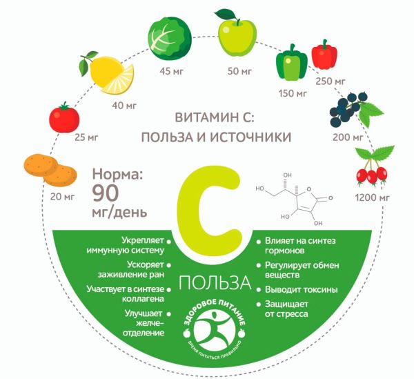 Где искать витамин С - новости экологии на ECOportal
