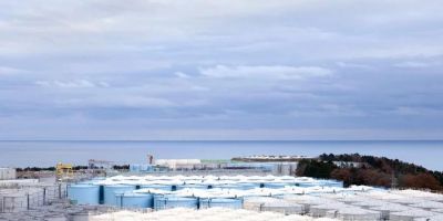 Япония предоставит России результаты исследований рыбы в районе сброса с АЭС "Фукусима-1" - новости экологии на ECOportal