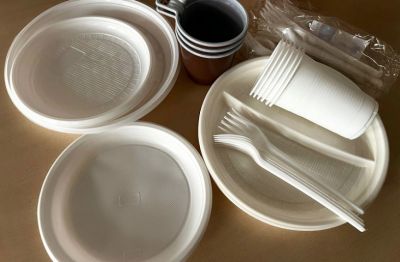 Оборот пластиковой посуды ограничат в Приморье - новости экологии на ECOportal